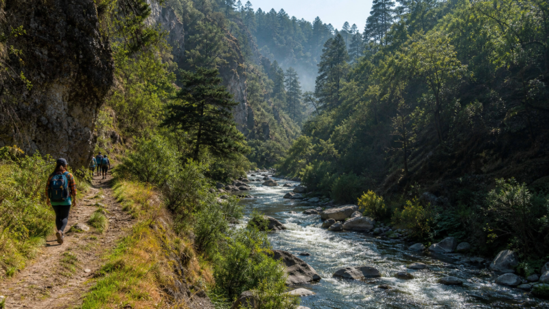 Cañon del Rio Magdalena en Los Dinamos, CDMX